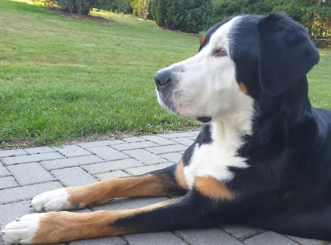 Lipolas-slowlife&guesthouse * Jurkow (Luban)