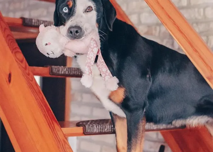 Lipolas-slowlife&guesthouse Jurkow (Luban)