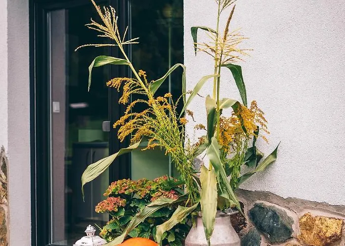 Lipolas-slowlife&guesthouse Agroturismo